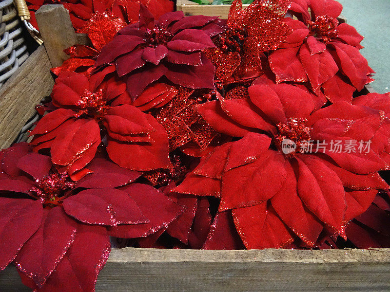 人造一品红花与闪光，塑料/丝绸红色圣诞一品红
